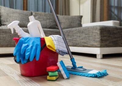 DOMESTIC CLEANING